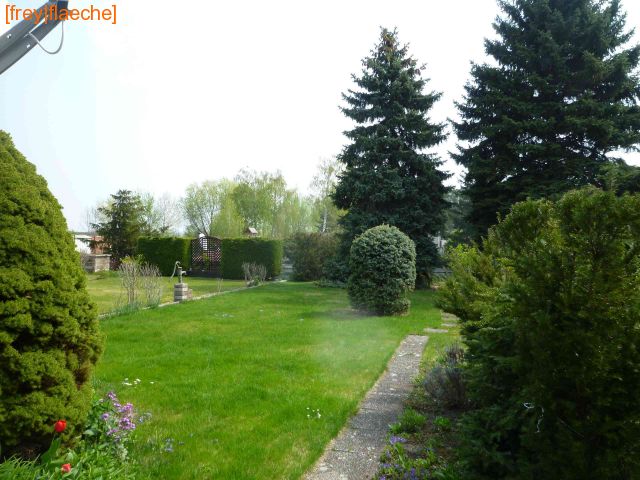 Blick in den Garten Blick in den Garten